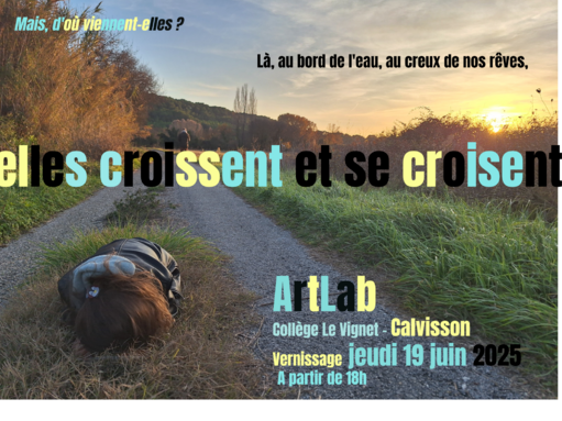 Vernissage ArtLab Calvisson juin2025.png